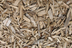 biomass boilers Foel Gastell